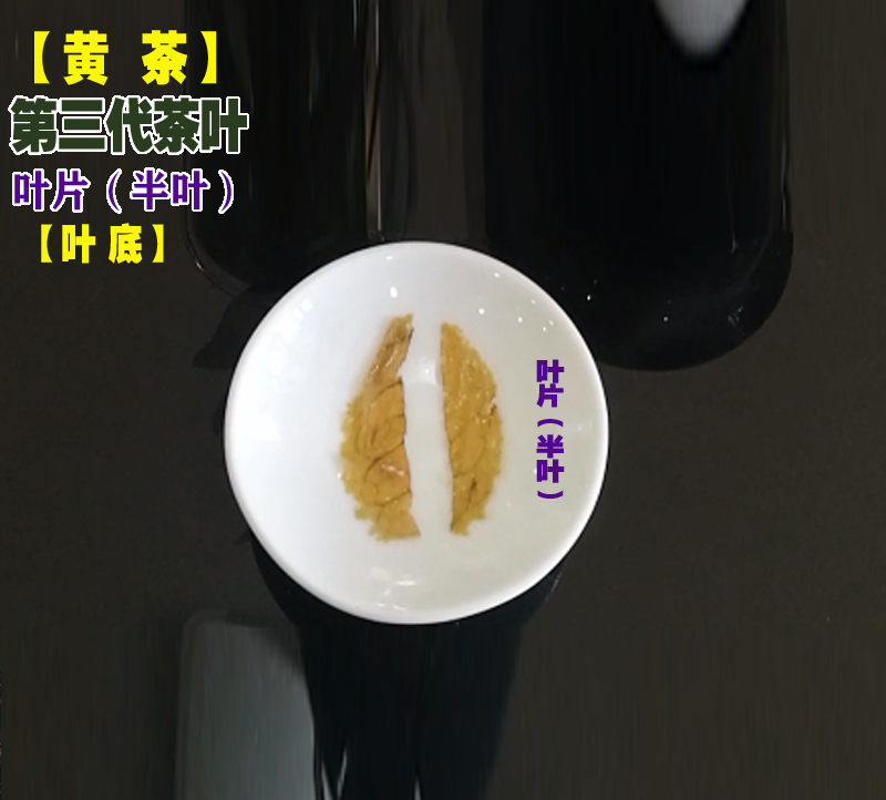 �Ʋ�-��������Ҷ-Ҷ��-��Ҷ�Ʋ�.jpg