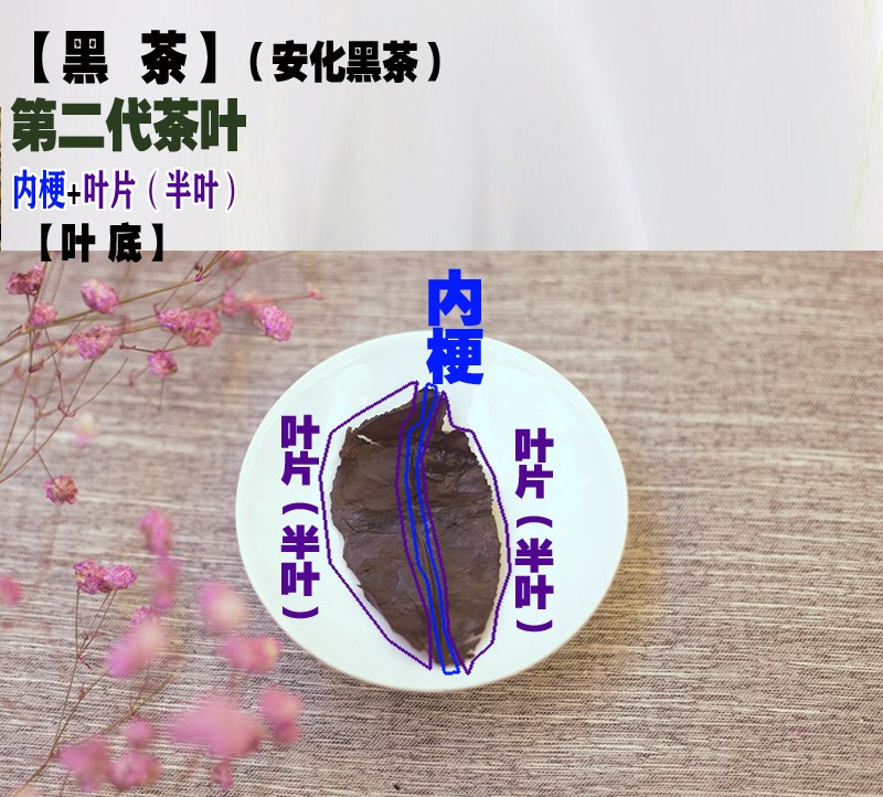1768148804768325.jpg 黑茶-第二代茶叶-叶底-安化黑茶.jpg