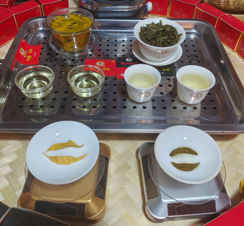 ��Ҷ�ƽ��PK��Ҷ������2.jpg