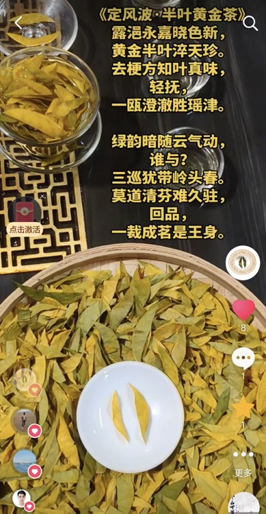 ���粨��Ҷ�ƽ��.jpg