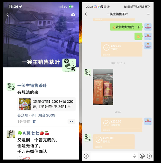 ��Ҷ�ƽ�賴�ƻ����.jpg