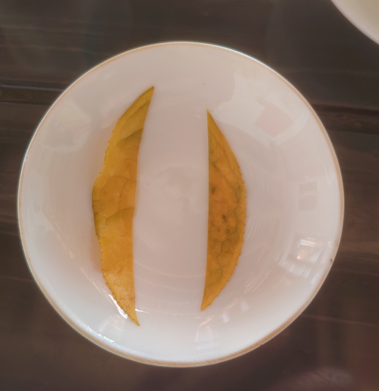 ��Ҷ�ƽ��5.jpg