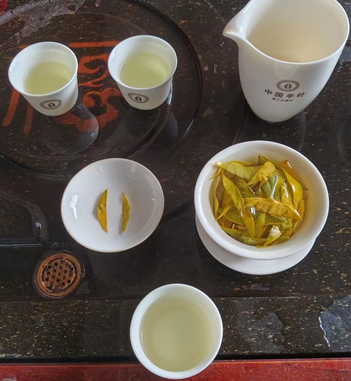 1772420475164340.jpg 金汤映玉光指的是什么茶2.jpg