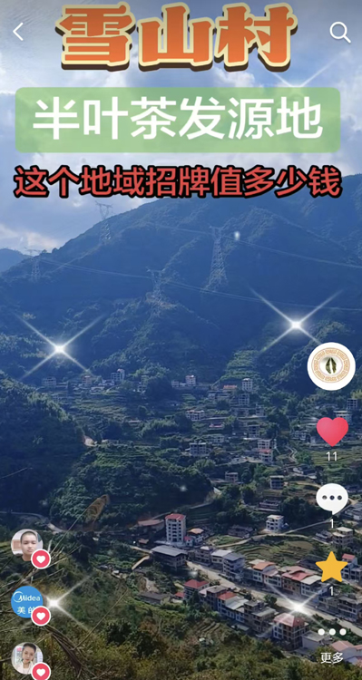 ��Ҷ�跢Դ�ص������Ƽ�ֵ.jpg