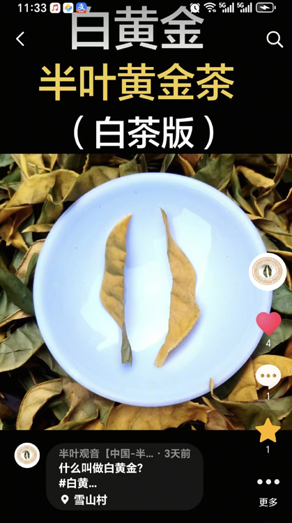 �׻ƽ�-��Ҷ�ƽ��ײ��.jpg