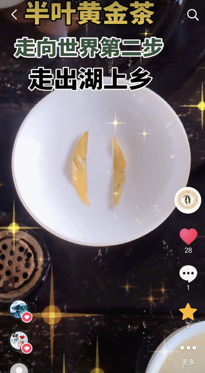 ��Ҷ�ƽ����������ڶ���.jpg