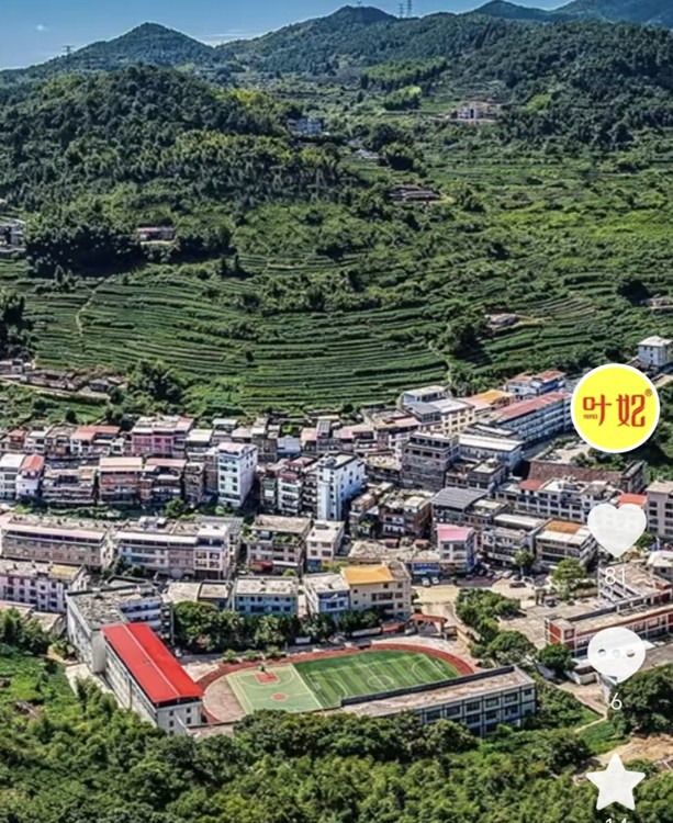 ��Ҷ�ƽ����������ڶ���2.jpg