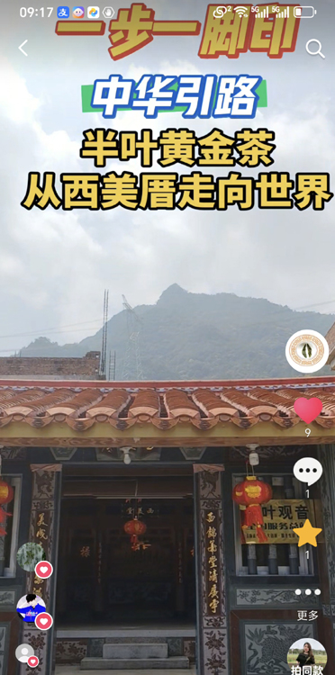 1774057944251728.jpg 半叶黄金茶从西美厝走向世界1.jpg