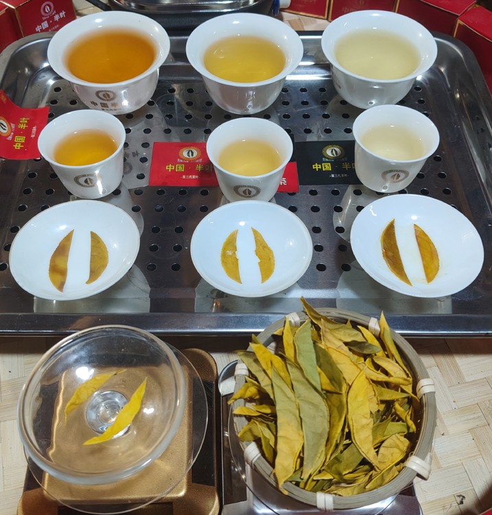 1774282798479615.jpg 白金三煮的诱惑1.jpg