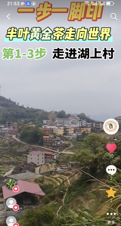 ��Ҷ�ƽ���߽����ϴ�.jpg