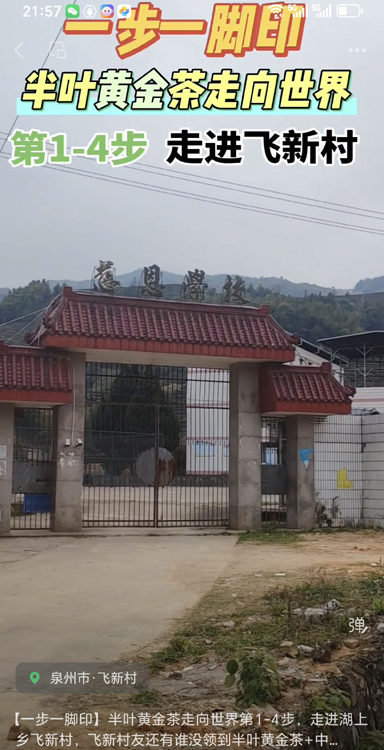 1774880234813472.jpg 半叶黄金茶走进飞新村2.jpg
