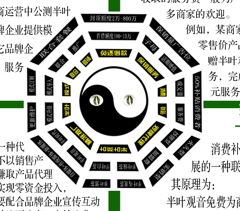 1776006784726654.jpg 半叶观音八项创新.jpg