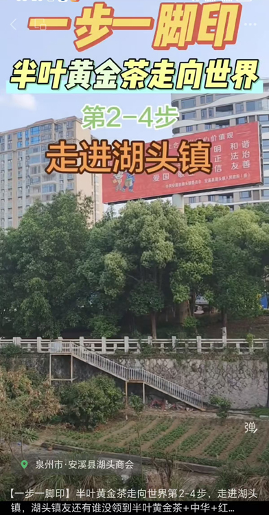 ��Ҷ�ƽ���߽���ͷ��.jpg