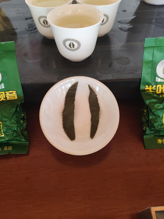 ��Ҷ��������������6.jpg