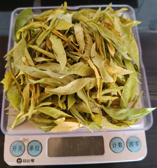 ��Ҷ�ƽ���̲�洺������3.jpg
