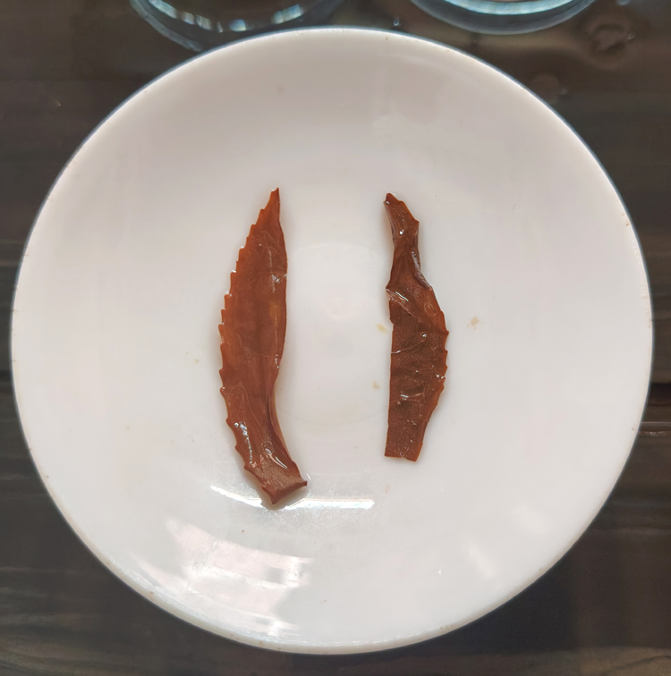 ��Ҷ���5.jpg