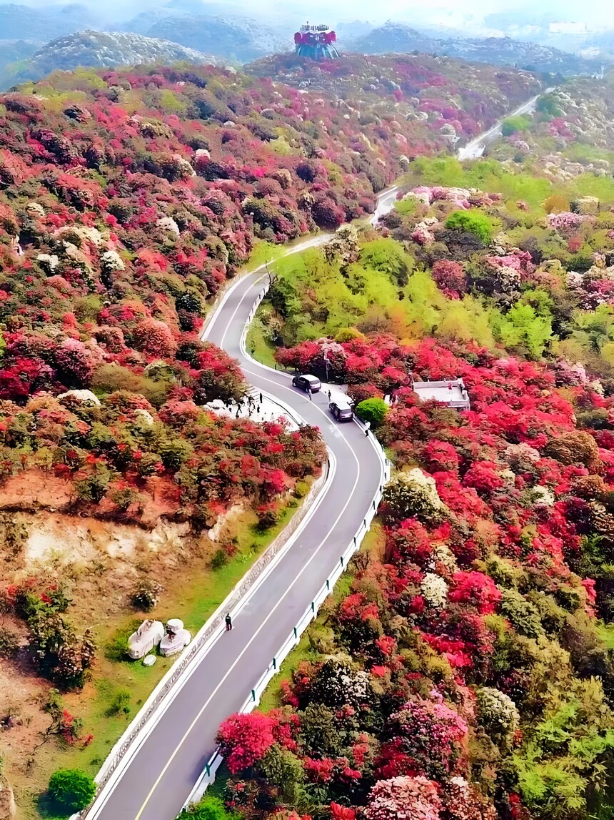 ����ž黨 (6).jpg