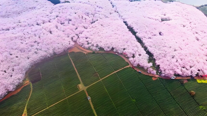 ƽ��ӣ�� (3).jpg