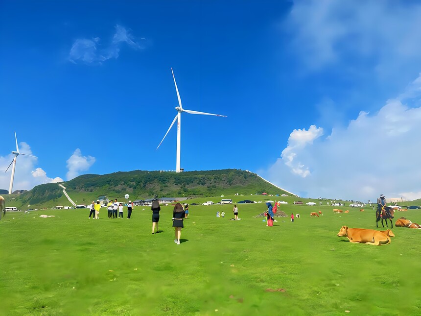 1771726389239124.jpg 乌蒙大草原 (7).jpg