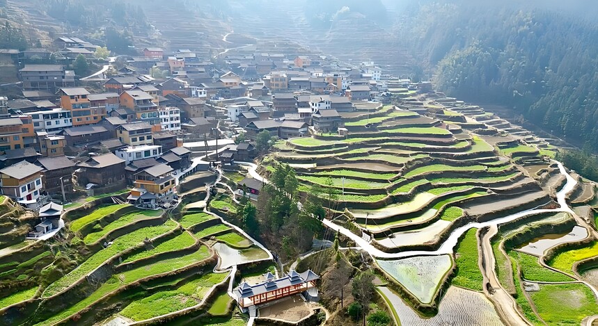 1771895719648073.jpg 堂安梯田 (1).jpg