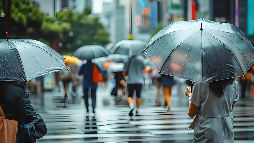 1772932226195492.jpg dc1b9ca1897ca8e0.jpg