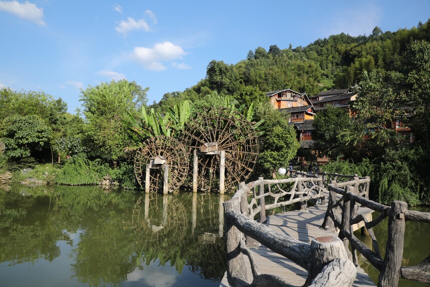 1773880148627993.jpg 2Z4A9523.JPG