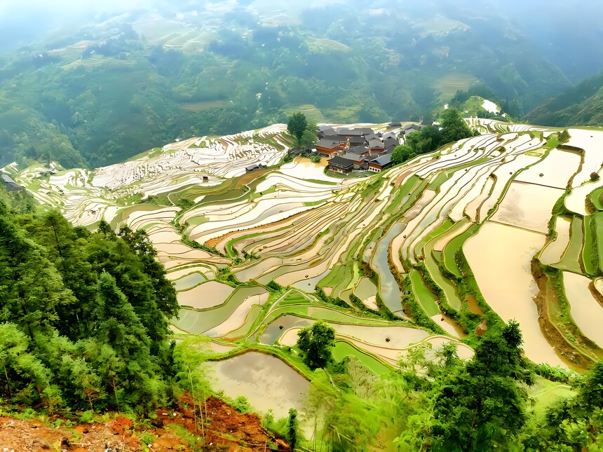 1773965008715506.jpg 加榜梯田 (6).jpg