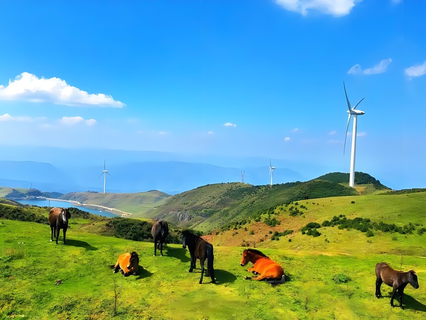 ���ɴ��ԭ (5).jpg