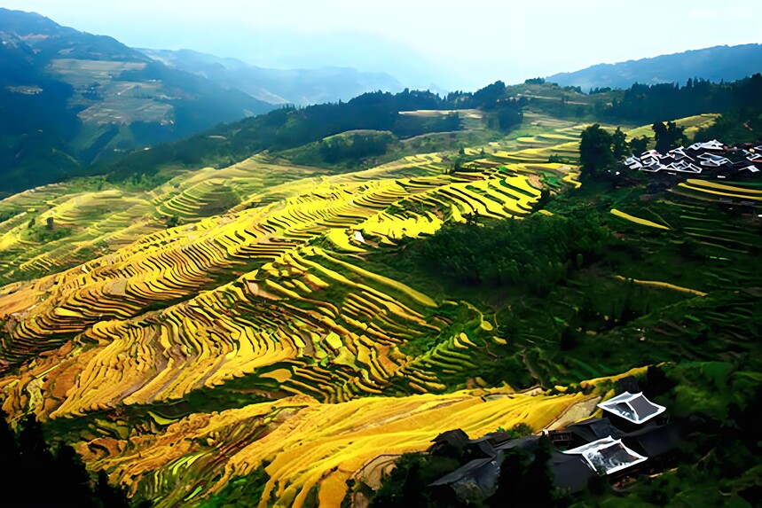 1775879505634265.jpg 加榜梯田 (8).jpg