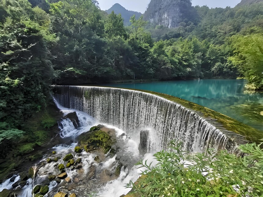 3c19585855b4a275.jpg