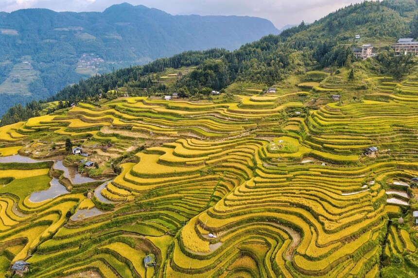 1781142423486216.jpg ac21-cf2f7f3c07527f9d13a493aa496f5d6f.jpg