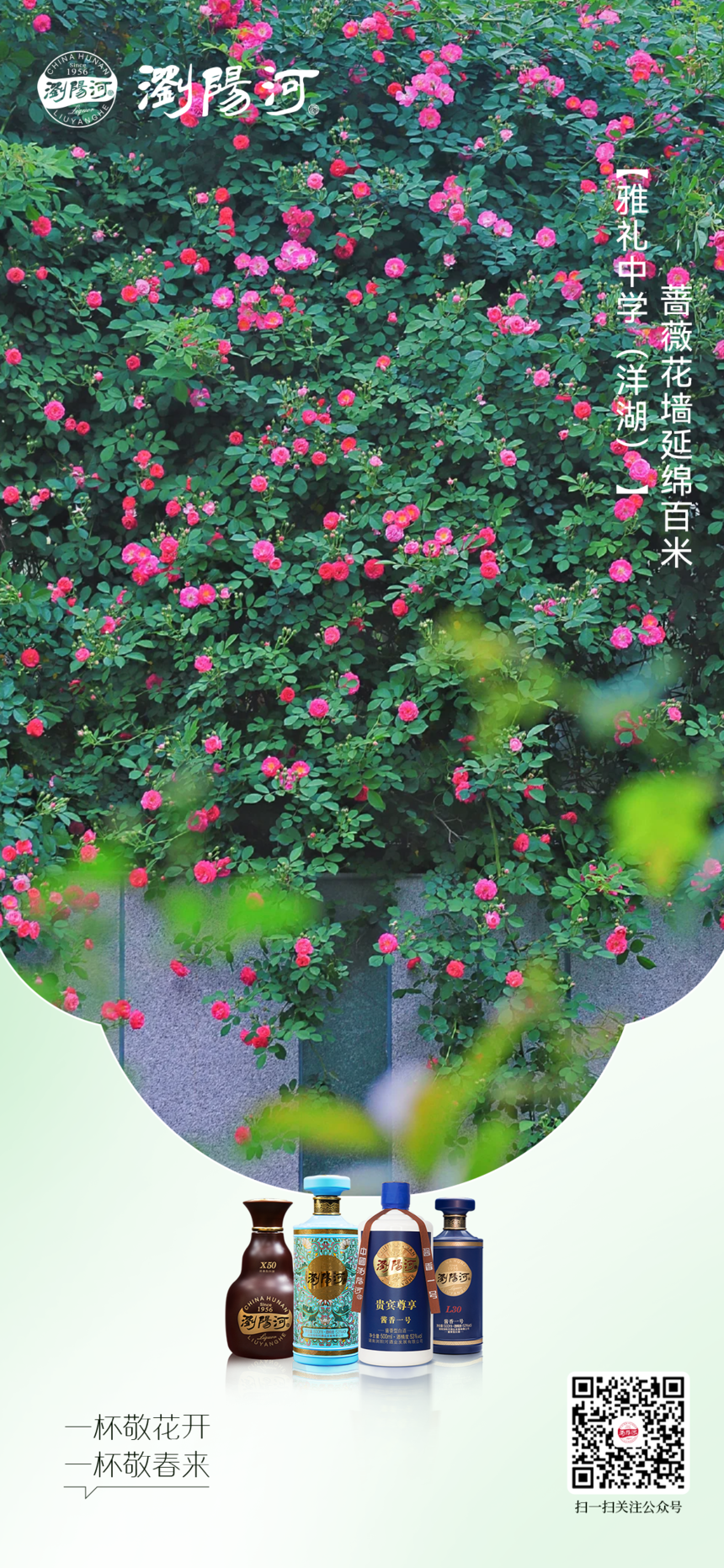 ΢ͼƬ_20250418151307.png