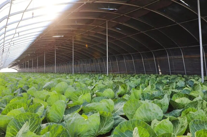 1733740073681229.jpg u=4151595637,2300066754&fm=253&fmt=auto.webp.jpg