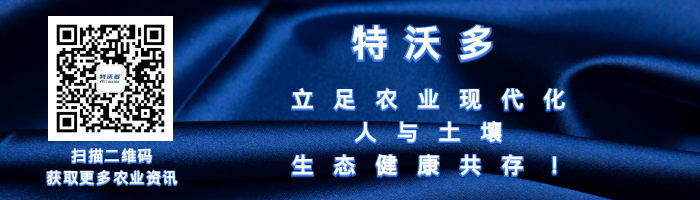 1733740268485919.png d5a41fe6-34e5-42ed-a130-c27879487e1d-1.png