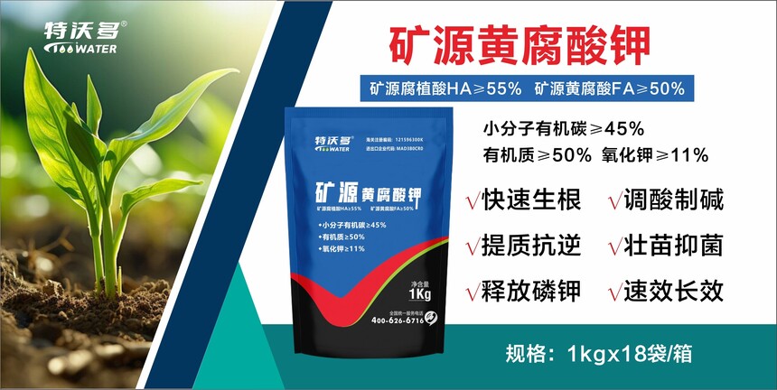 1745669759697052.jpg 1cbe34a2e547b17f39f48a6b40cb66e.jpg