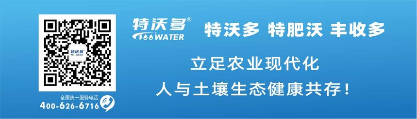 1745670584475324.jpg 9f06fb8d2694255ff1c170437574ec2.jpg