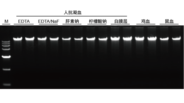 1703255650450407.png
