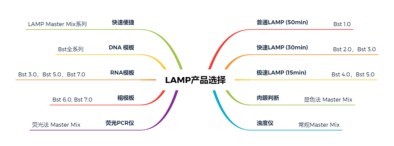 LAMPƷѡ.png
