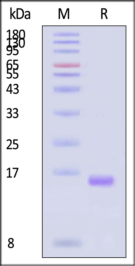 1732422813304747.jpg 1732422813304747.jpg