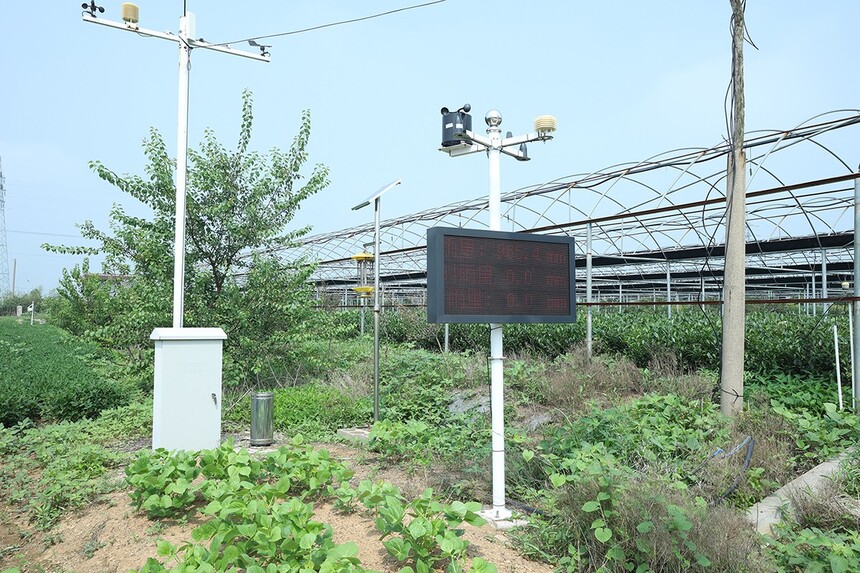 2W5A3780.JPG