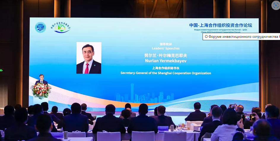 �Ϻ�������֯���鳤��ϯ�й�-�Ϻ�������֯Ͷ�ʺ�����̳