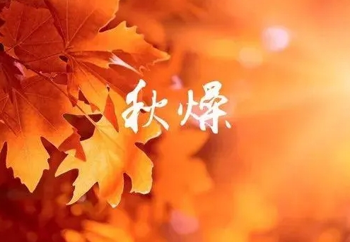 ΢�Ž�ͼ_20240919094743.png