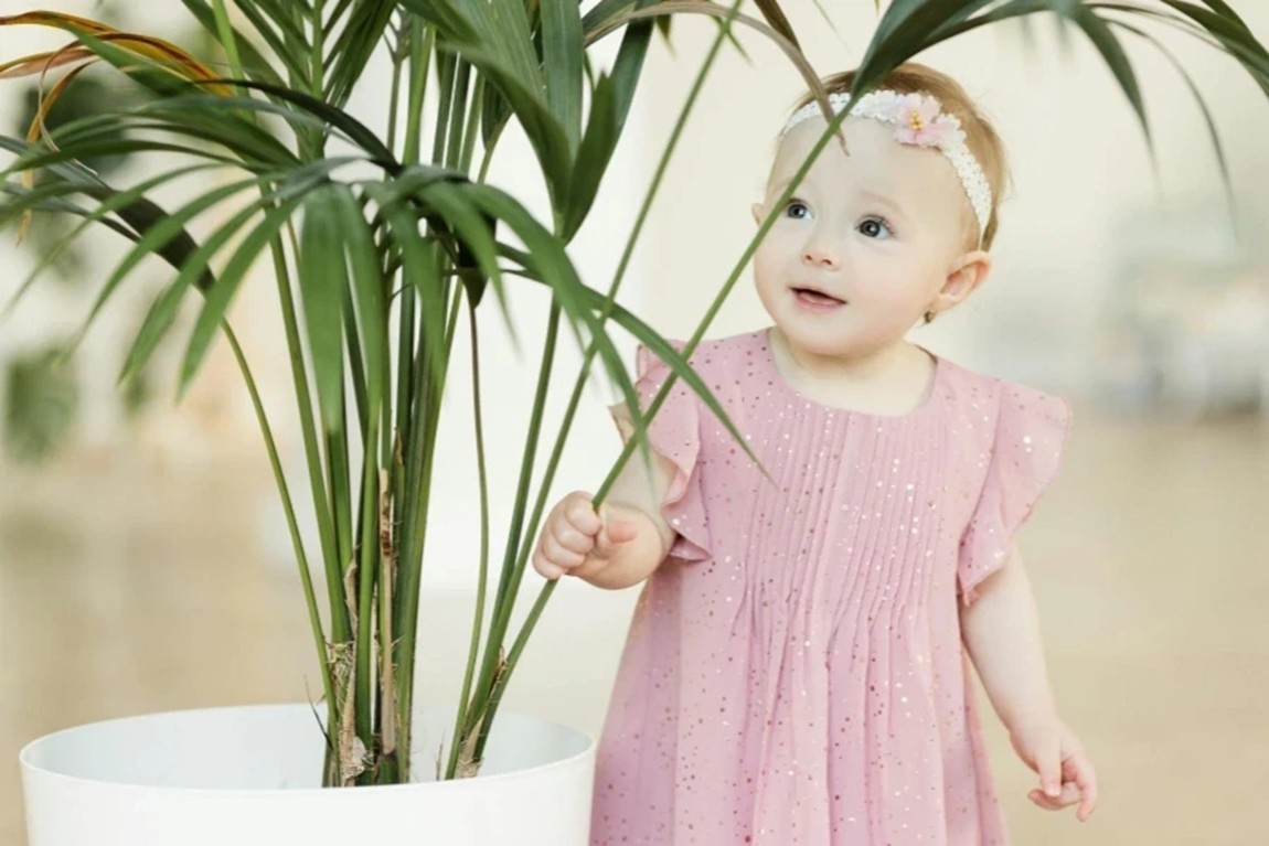 Girl-in-Pink-Dress-Holding-Green-Plant.webp.jpg