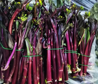 捆扎機(jī)效果圖