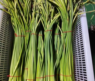 捆扎機(jī)效果圖