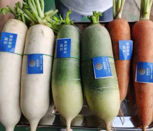 掛標(biāo)捆扎機(jī)效果圖