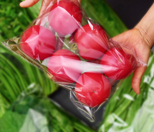 袋裝機(jī)效果圖