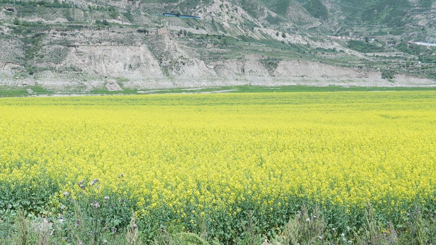 1762911545149683.jpg C0328T01.JPG