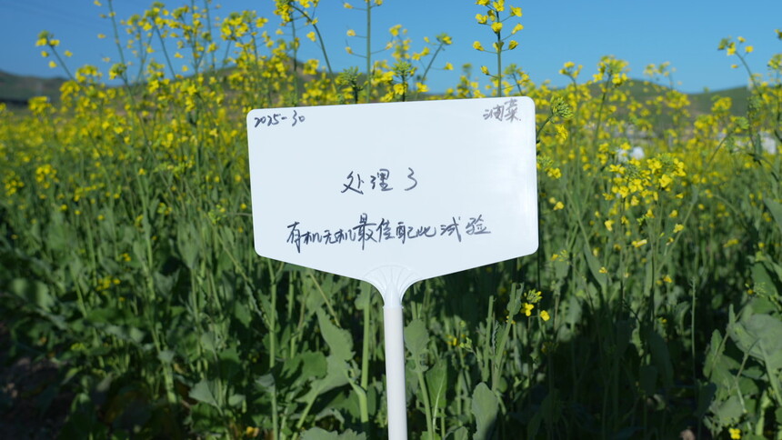 1762911560814984.jpg C0366T01.JPG