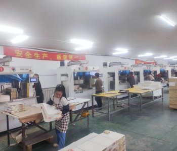 Customer site